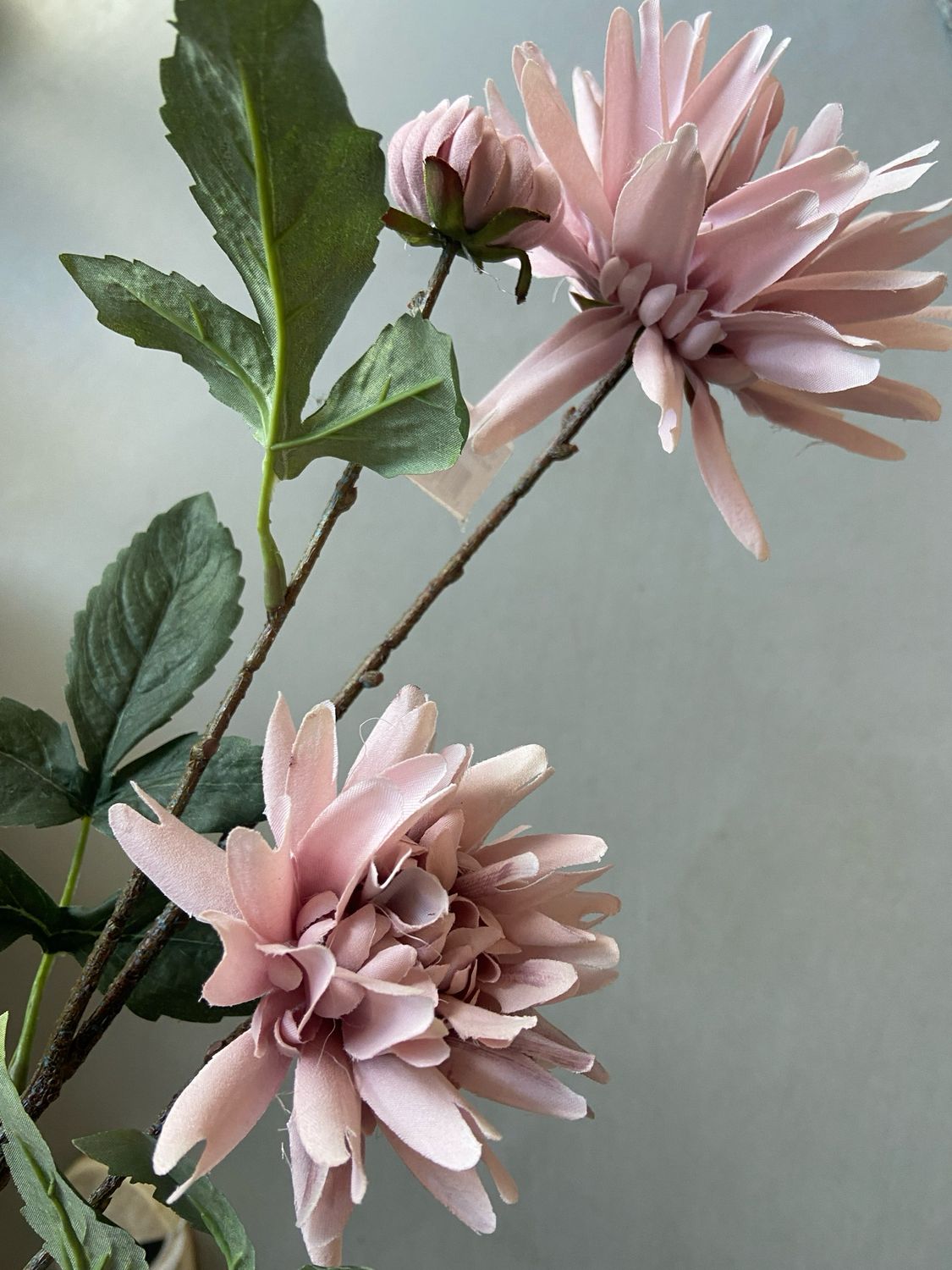 Dahlia spray