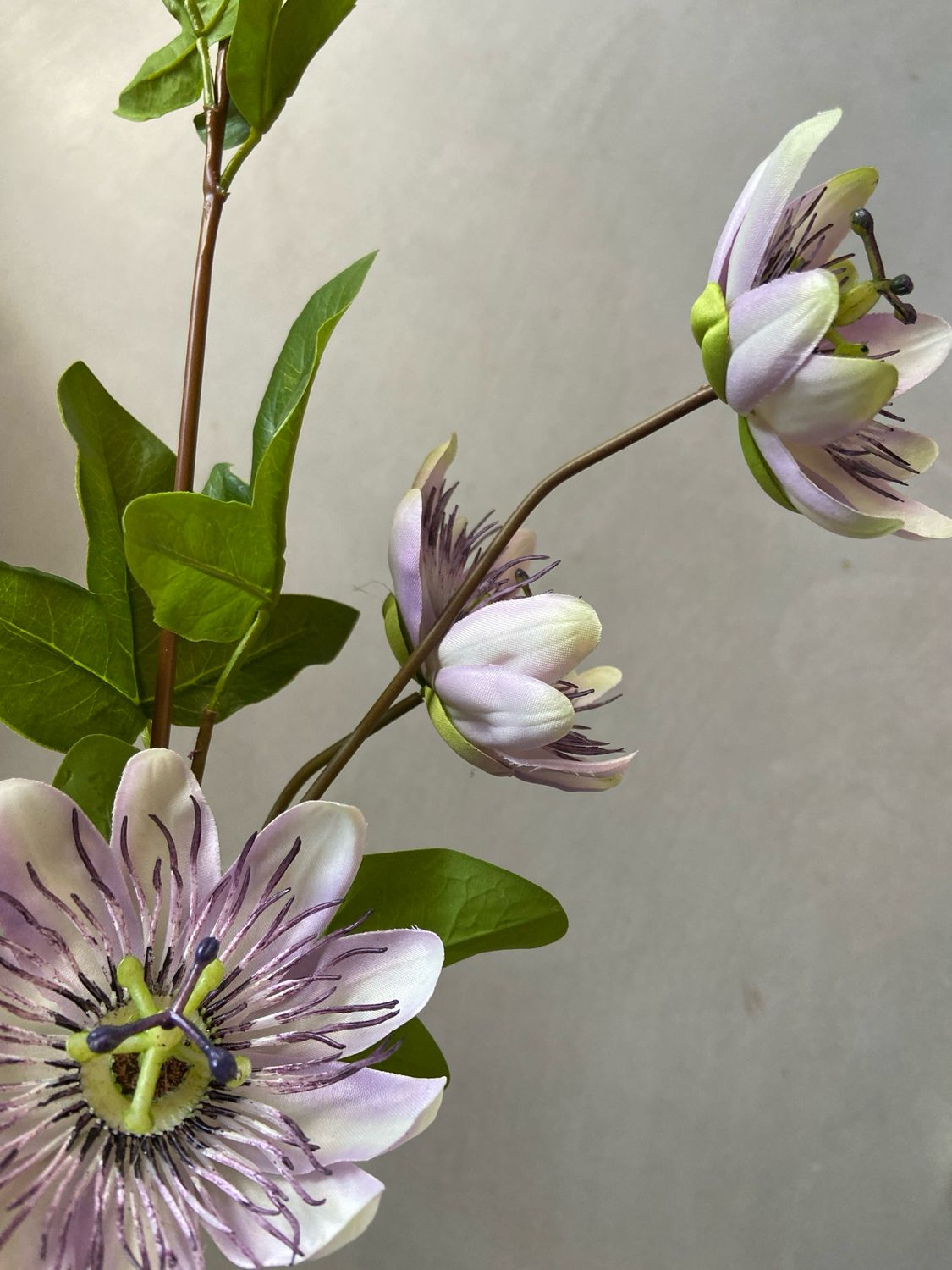Passie bloem spray