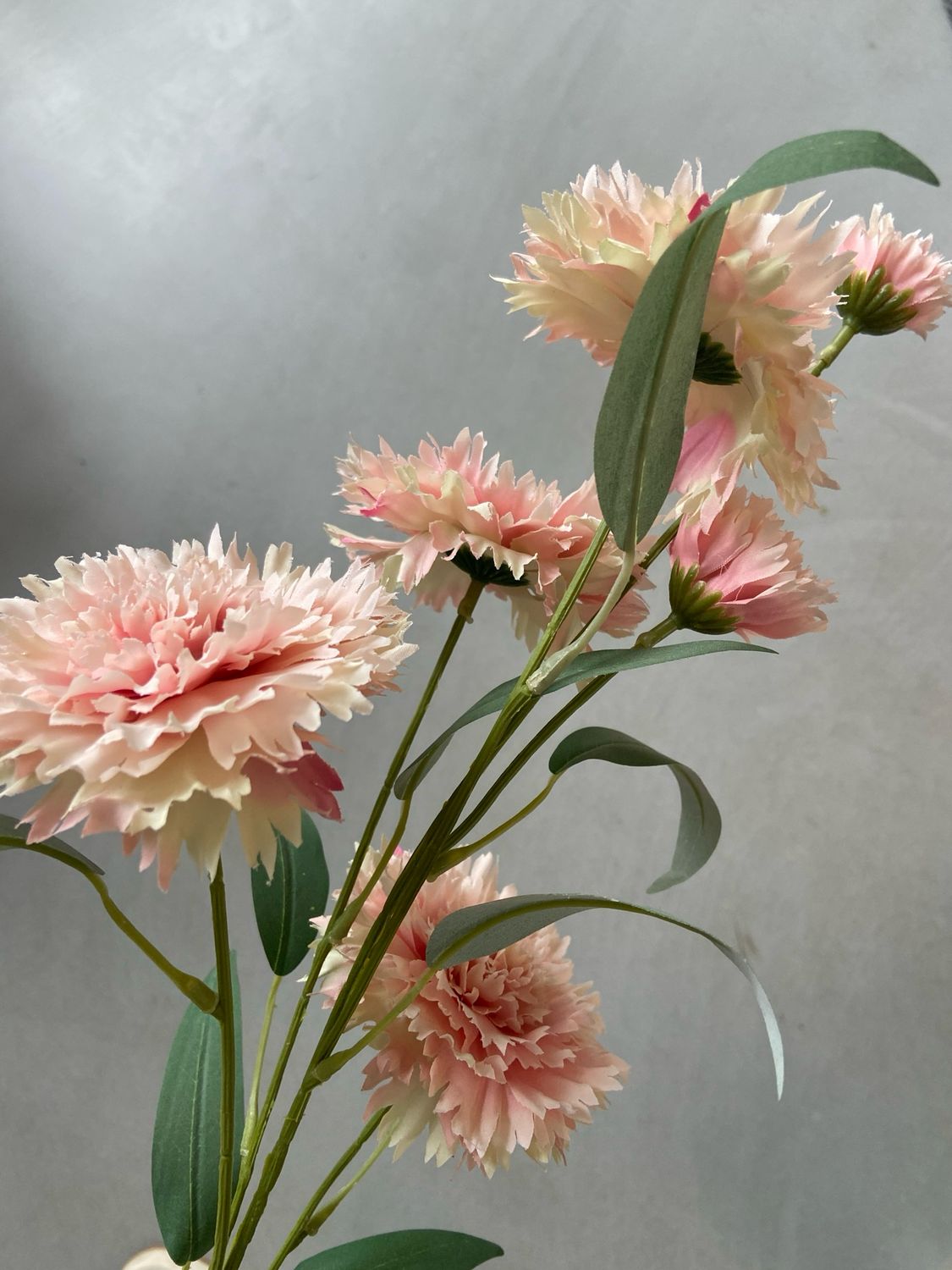 Chrysant licht roze