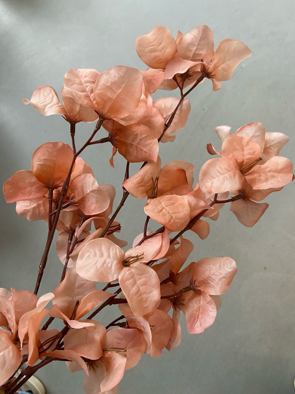 Flower Peach