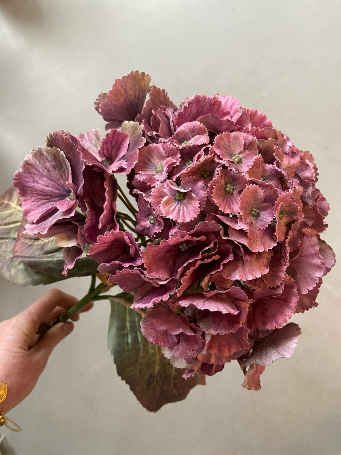 Hortensia roze/paars