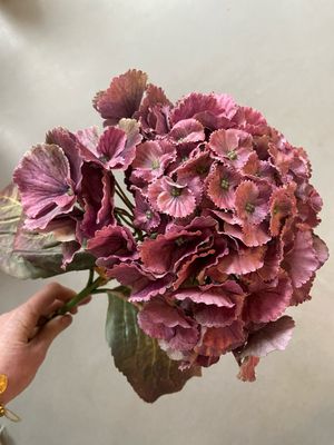 Hortensia roze/paars