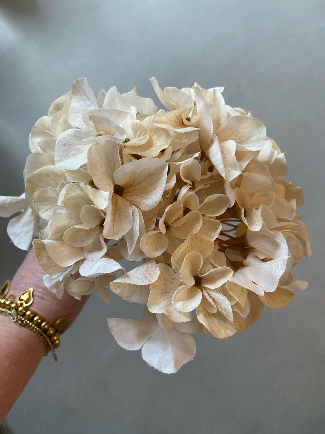 Hortensia wit