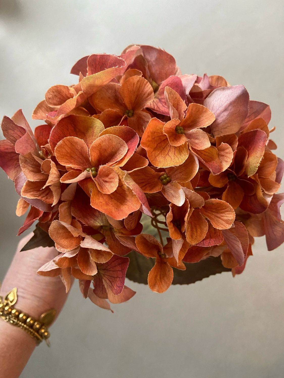 Hortensia oranje/roze