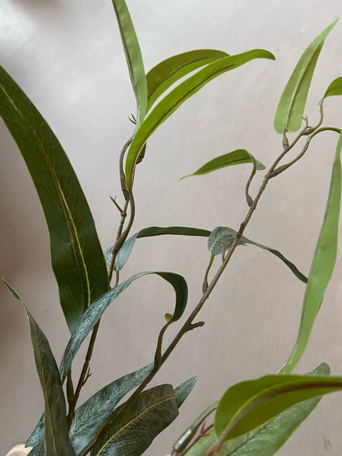 Decotak groen