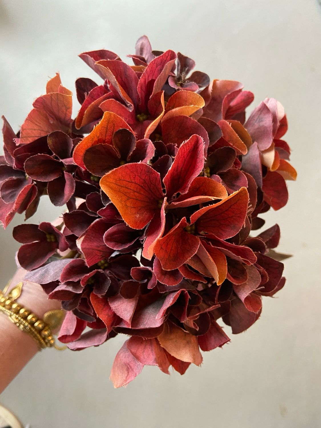 Hortensia 65 cm