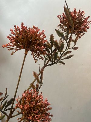 Decotak oud roze