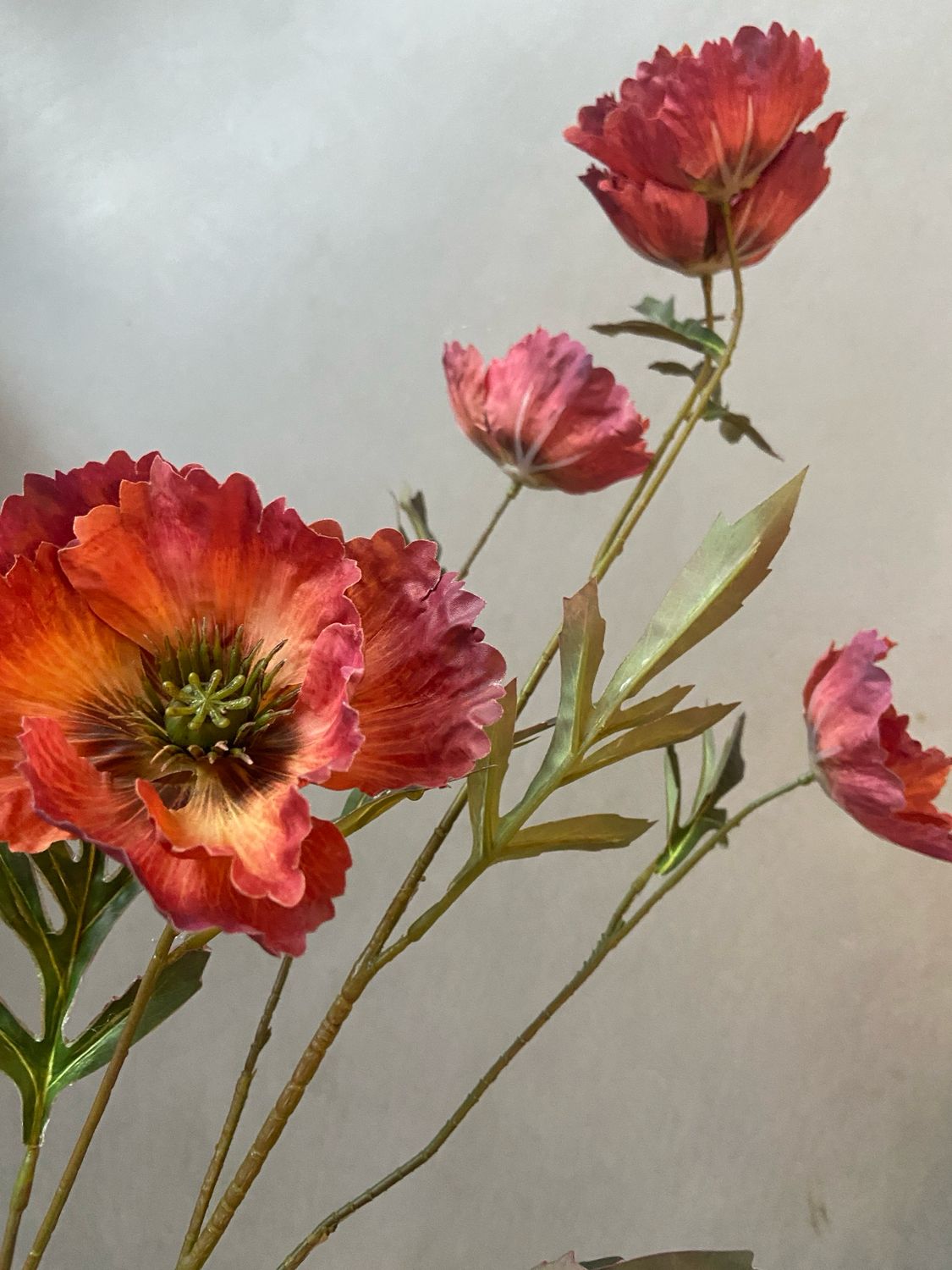 Poppy spray