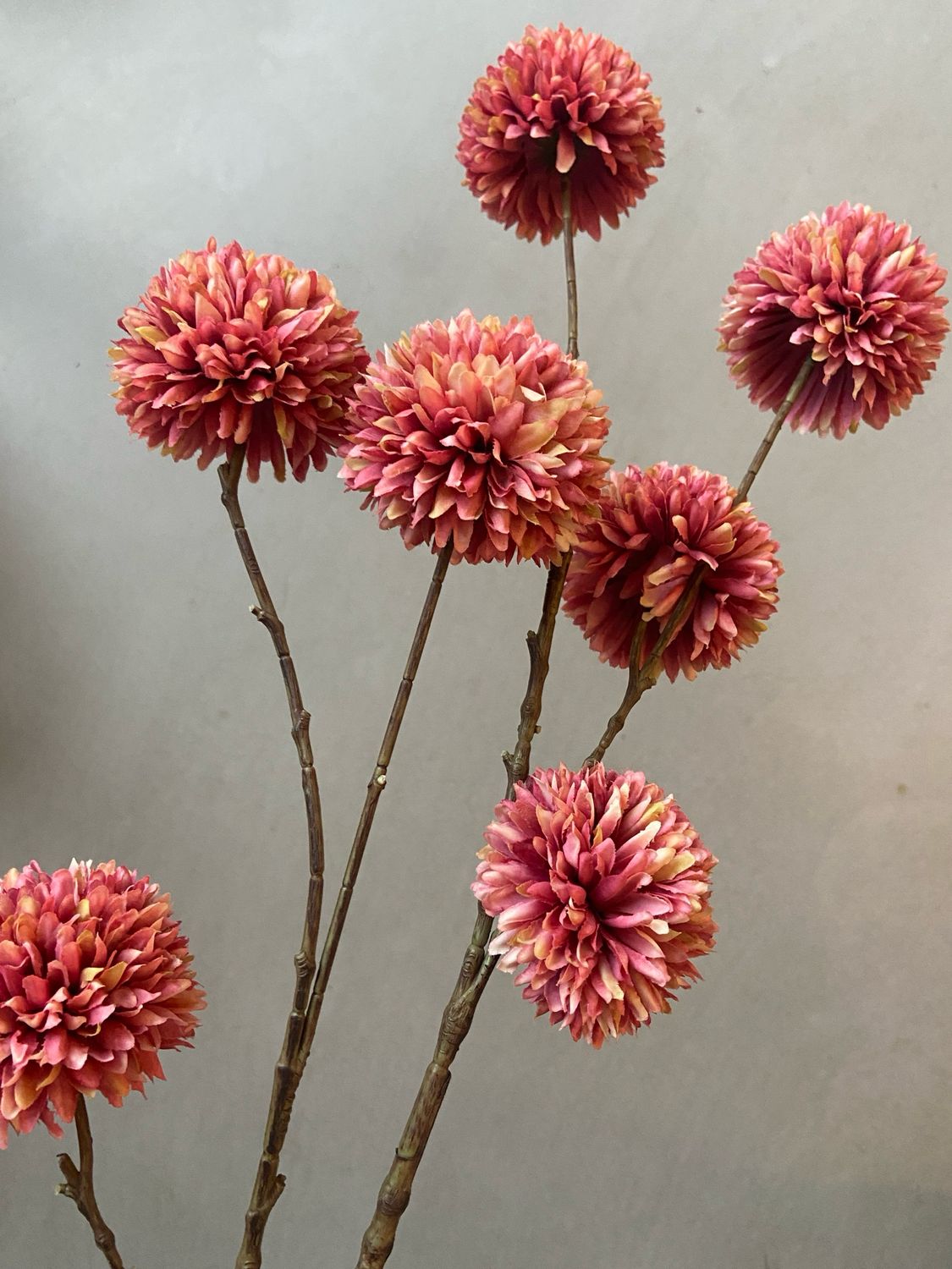 Pompoen large pink