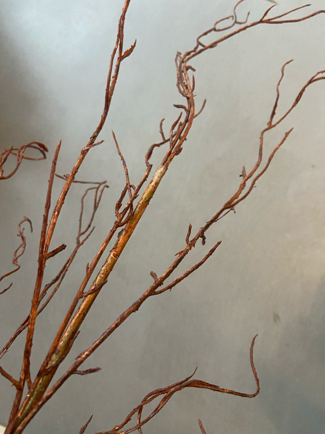 Twig spray 130 cm