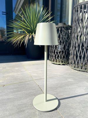 Led (vloer) lamp olijf