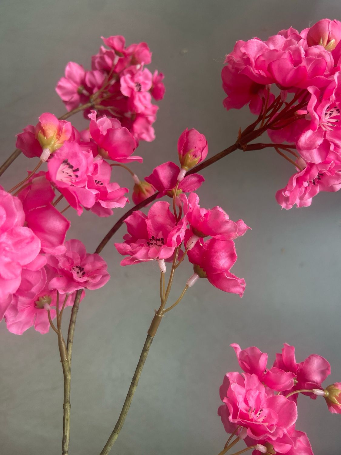 Prunus 84 cm fel roze