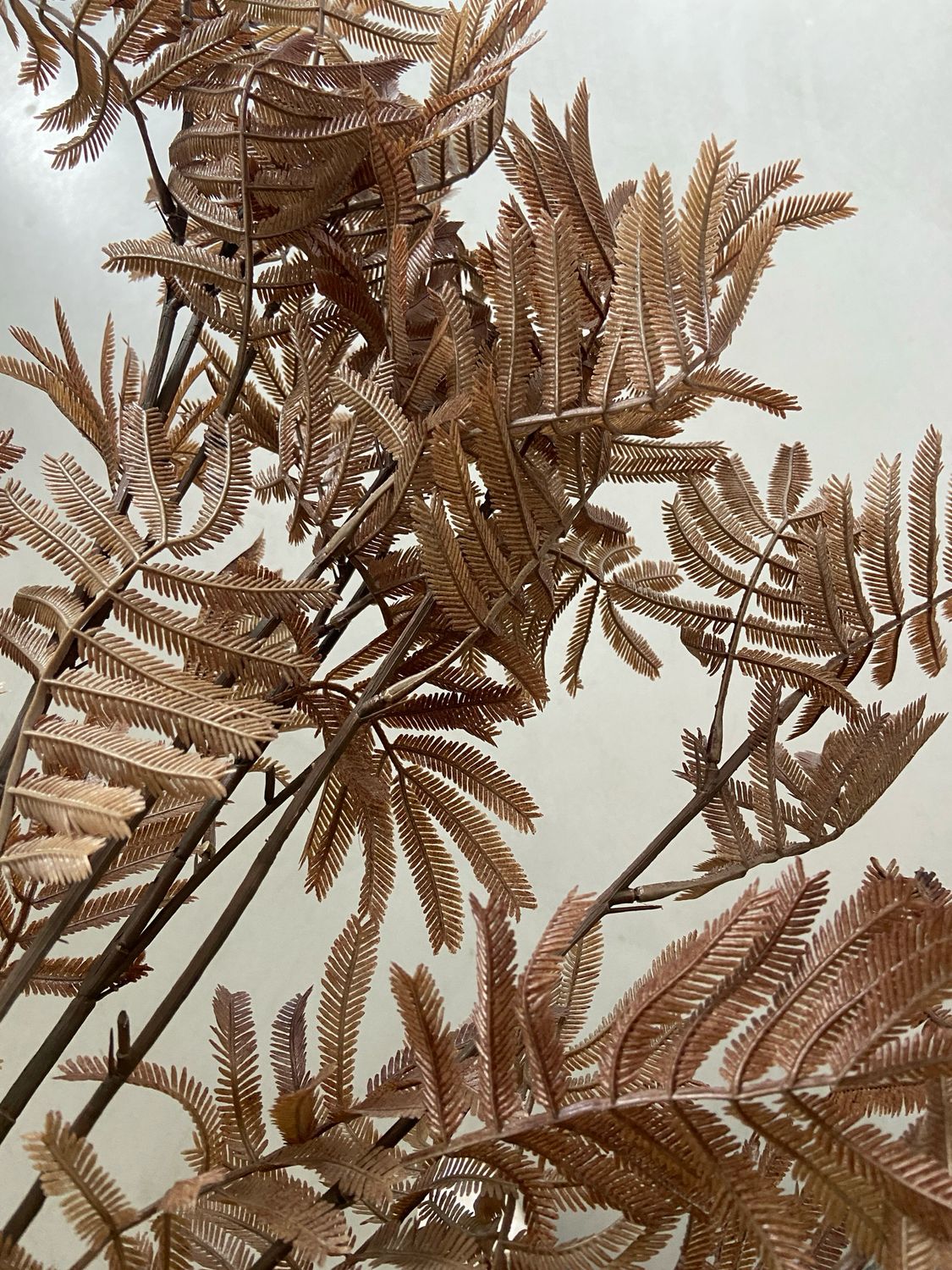 Kunstbloem spirea bruin 120 cm
