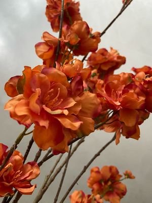 Bloesemtak 115 cm oranje