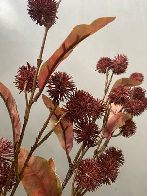 Distel burgundy 120 cm