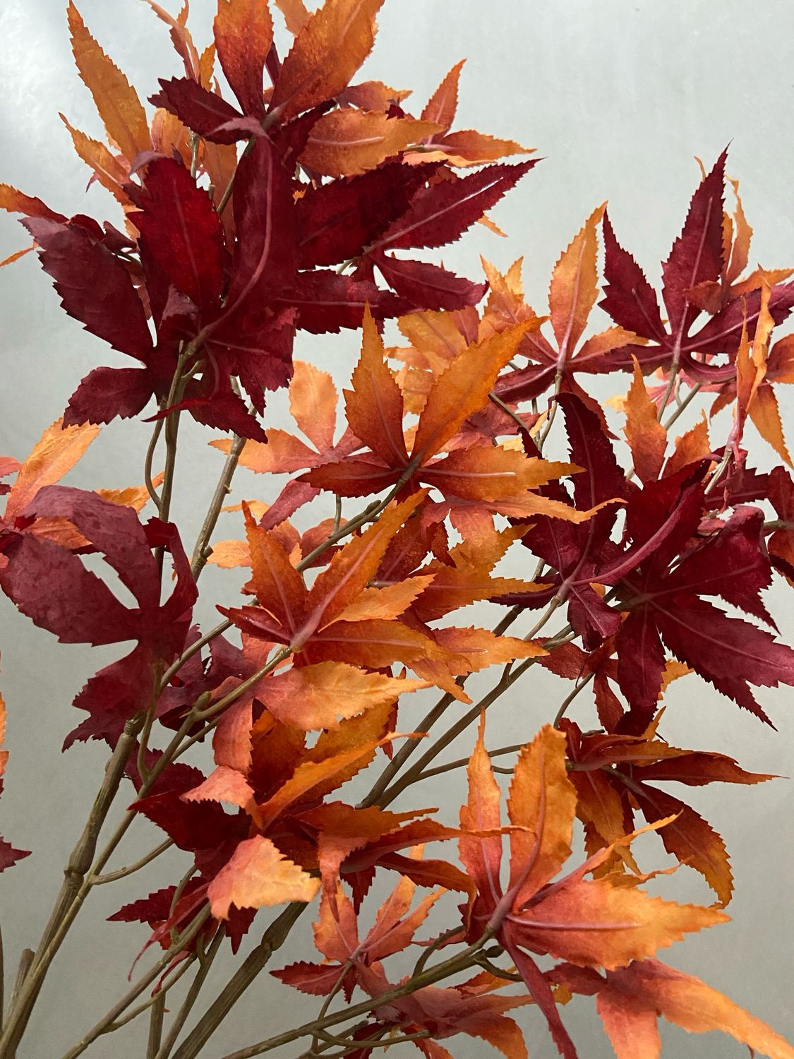 Esdooornblad oranje rood 93 cm