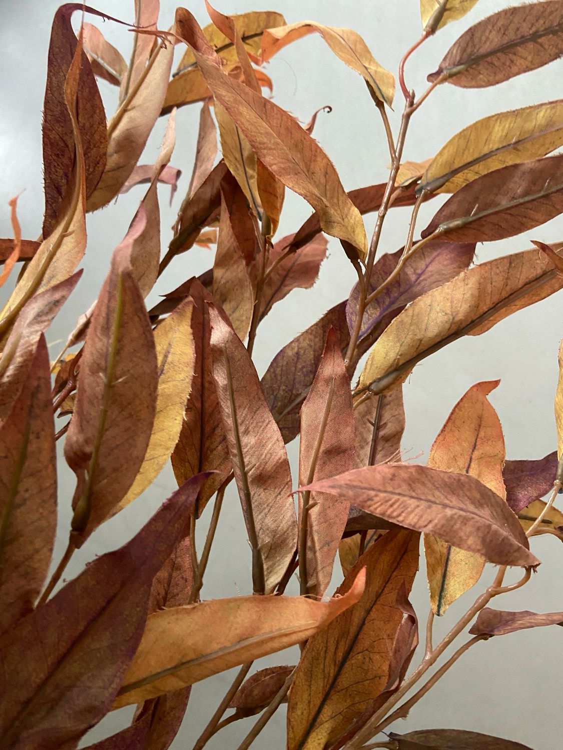 Eucalyptus oranje bruin 95 cm