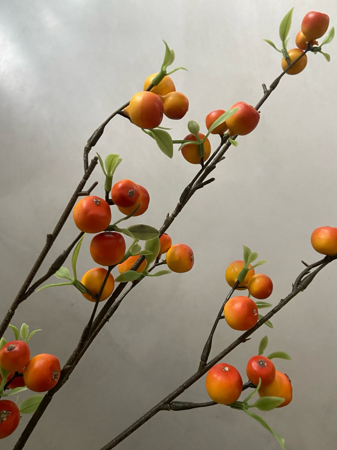 Appeltak oranje / geel  76 cm