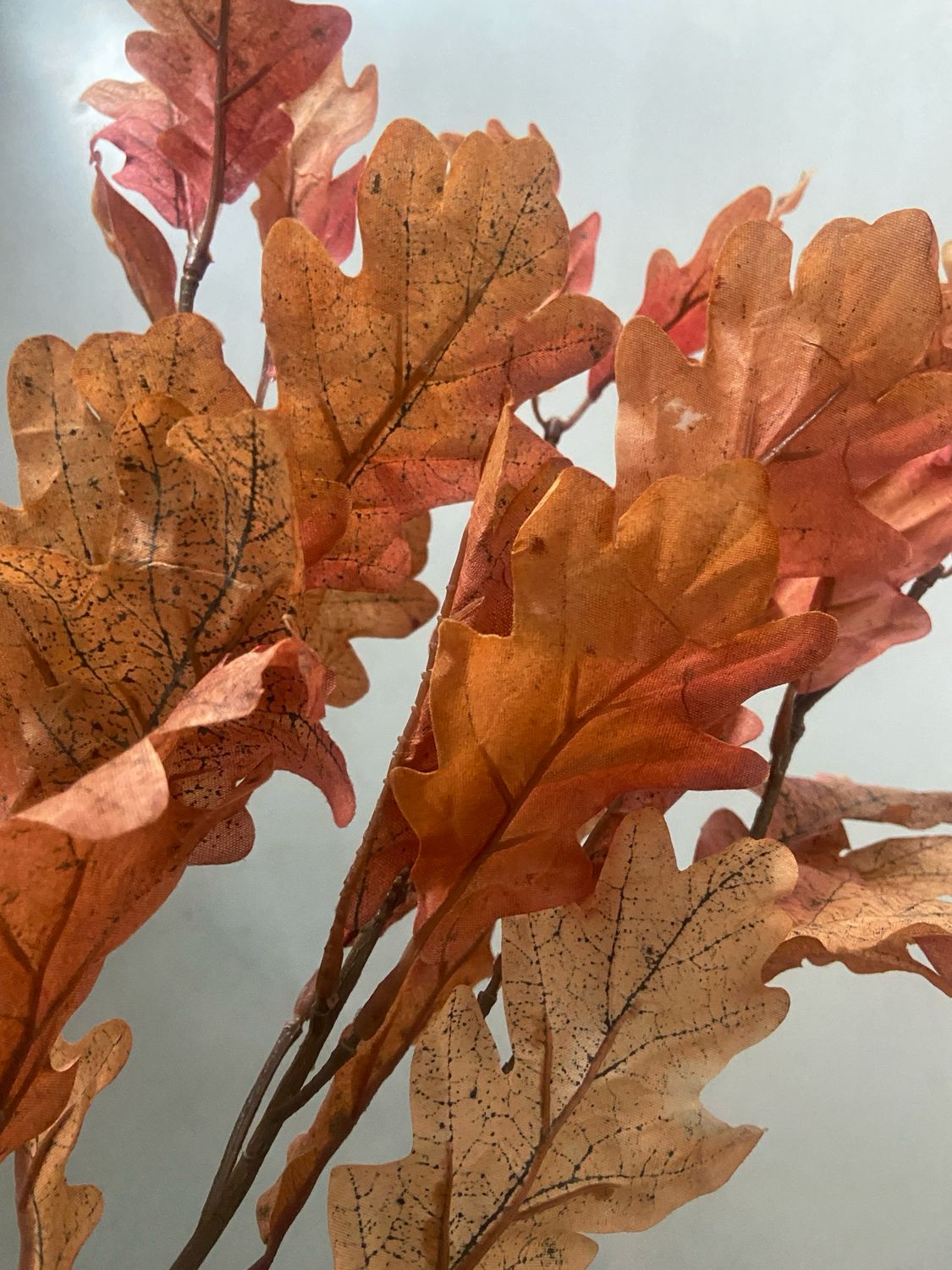 Herfstblad