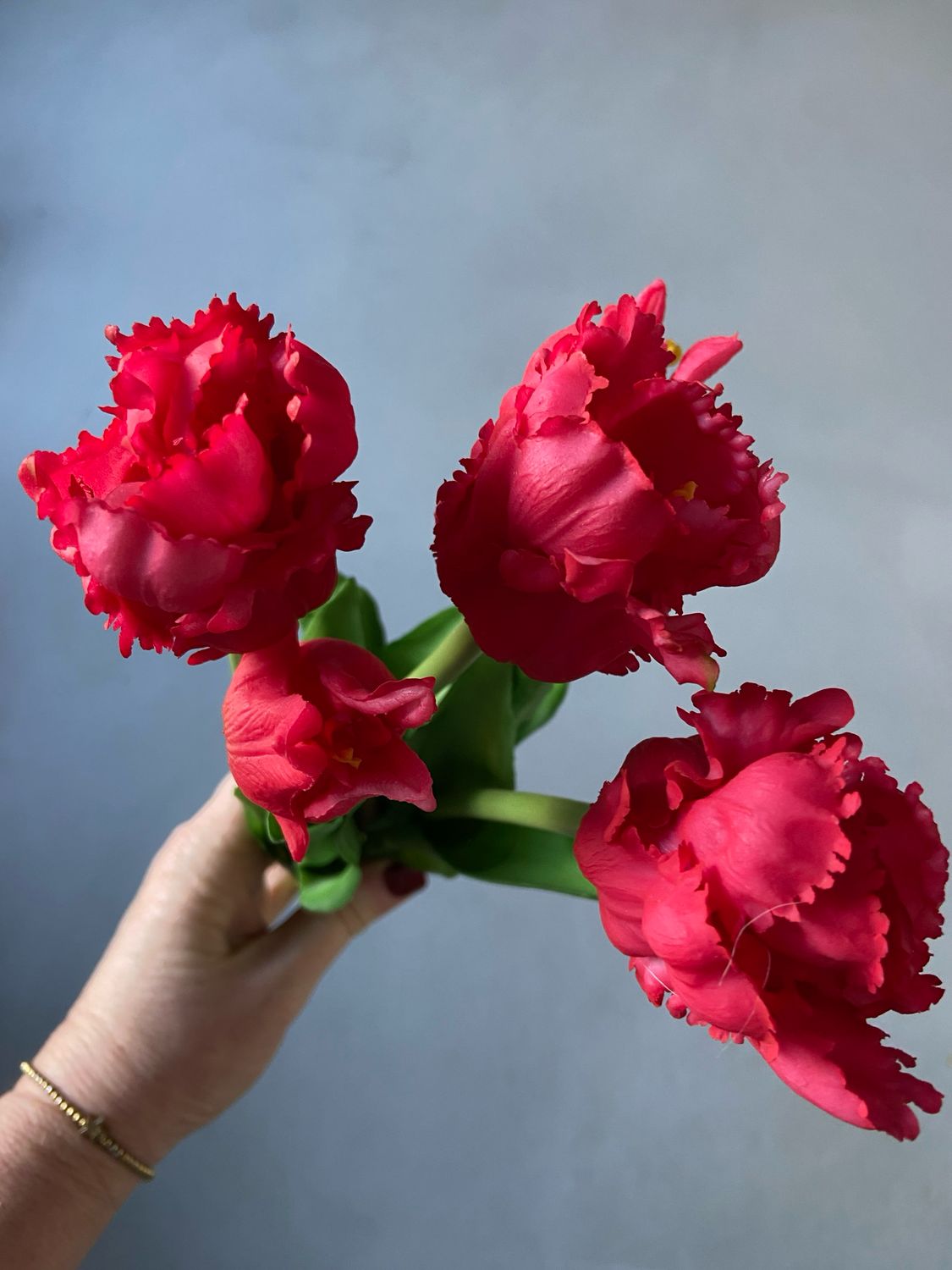 Real touch papegaaien tulpboeket fuchsia