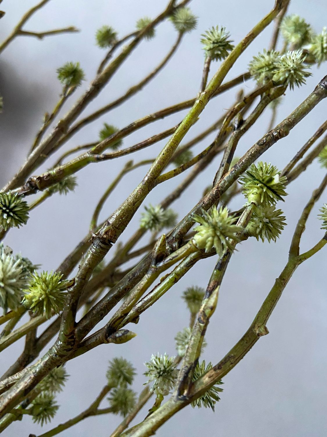 Eryngium kunsttak spray groen