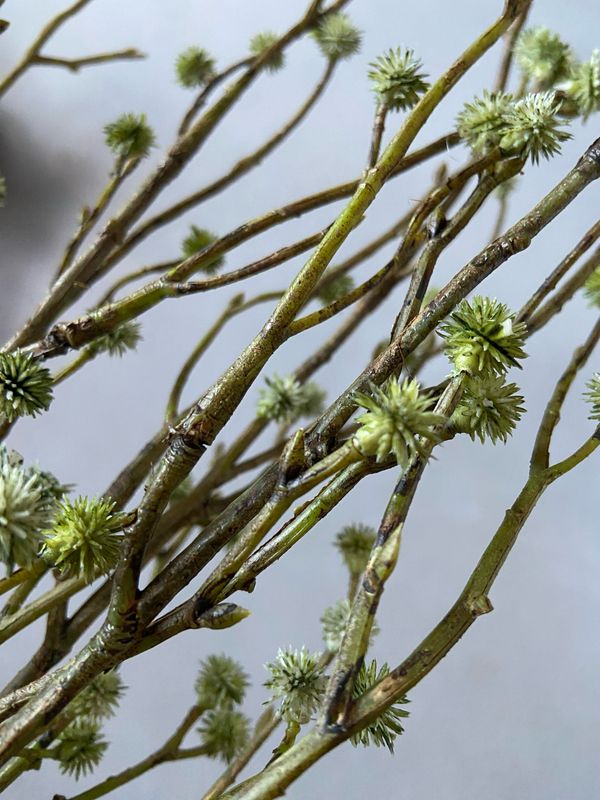Eryngium kunsttak spray groen