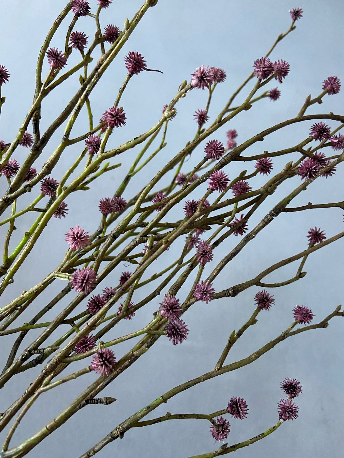 Eryngium kunsttak spray donker roze