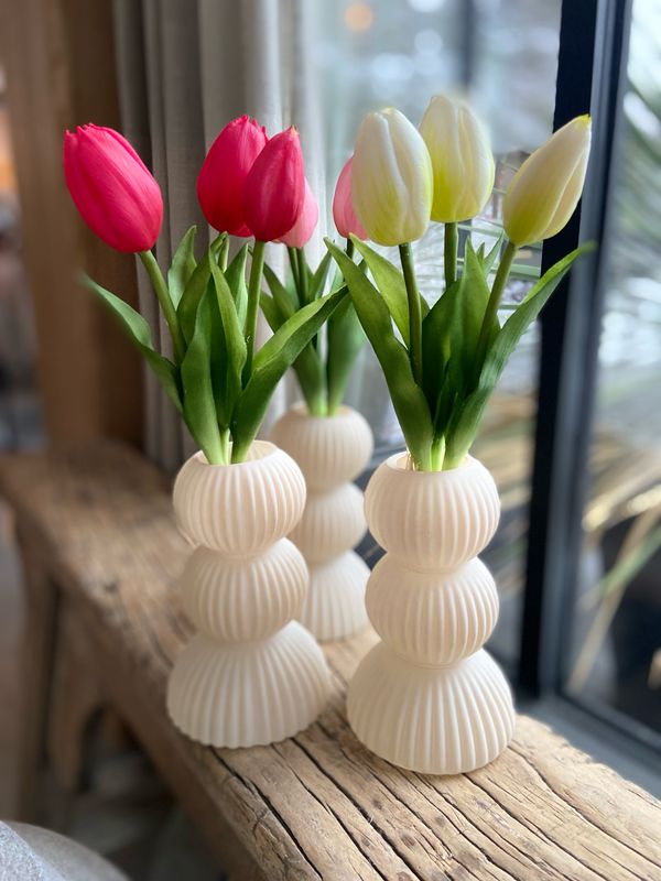 Vaasje Miguel S crème