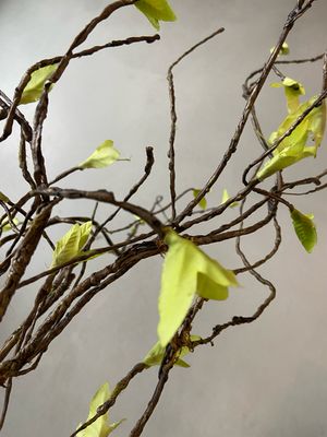 Twijg tak met lichtgroen blad 95 cm