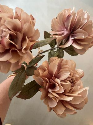 Dahlia licht roze