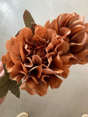 Dahlia lichtbruin
