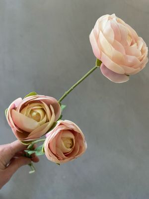 Ranonkel spray licht roze