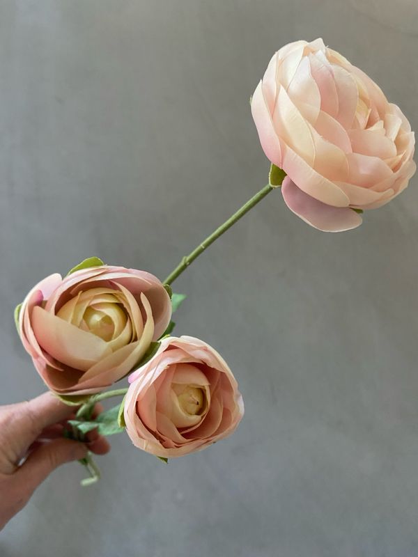 Ranonkel spray licht roze