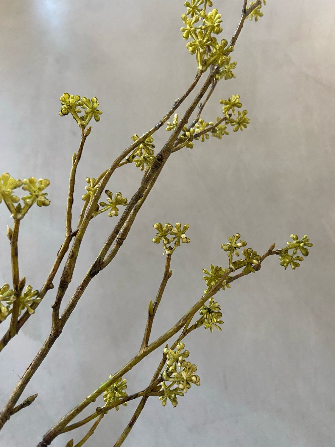 Kunstbloem callicarpa groen 75 cm