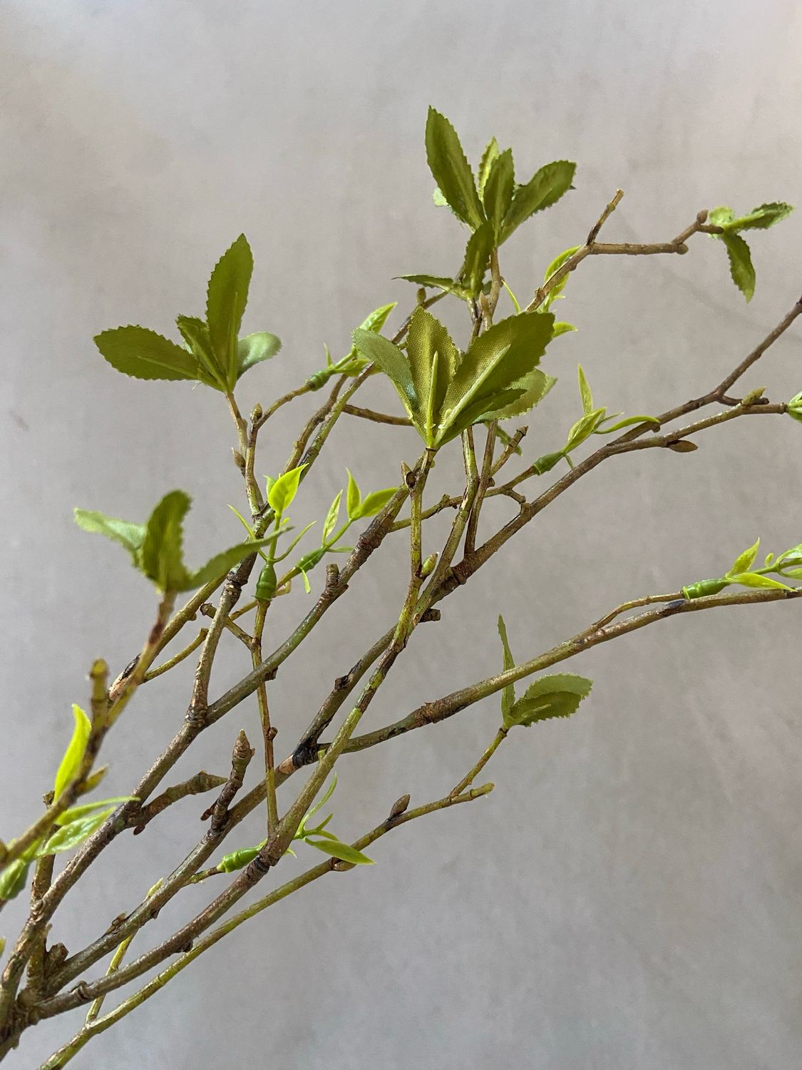 Leaf bundle s2 56 cm groen