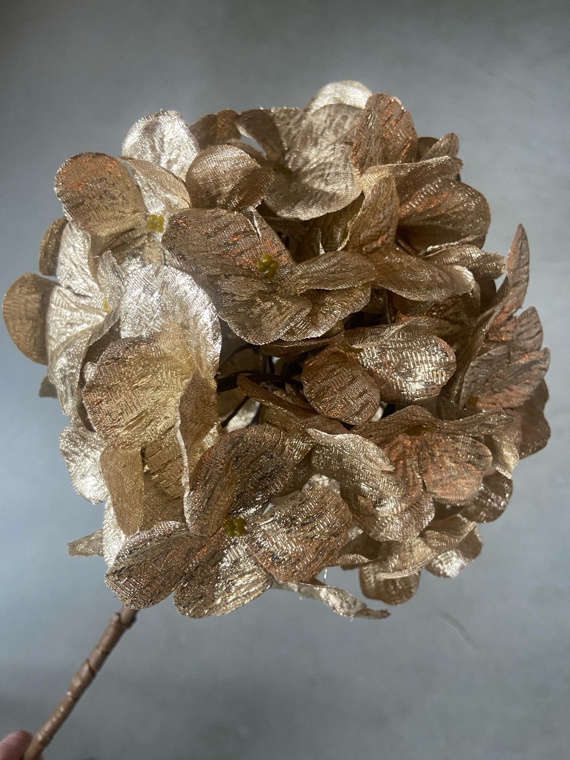 Hortensia gold spray