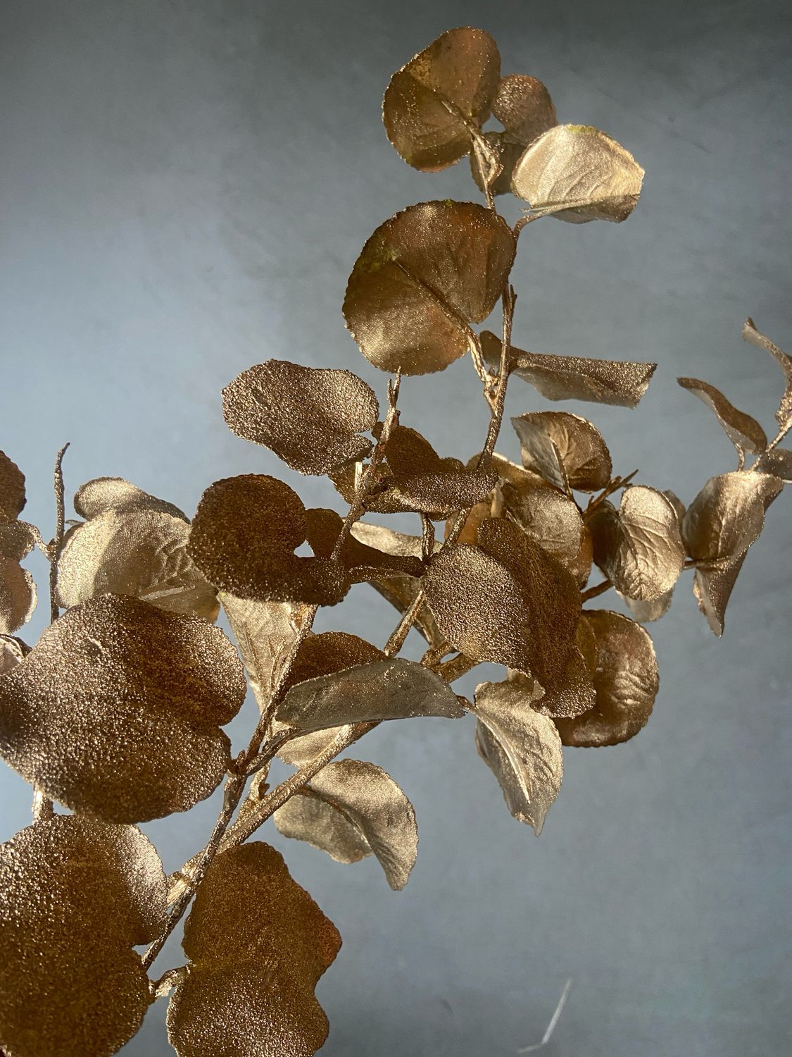 Eucalyptus spray gold