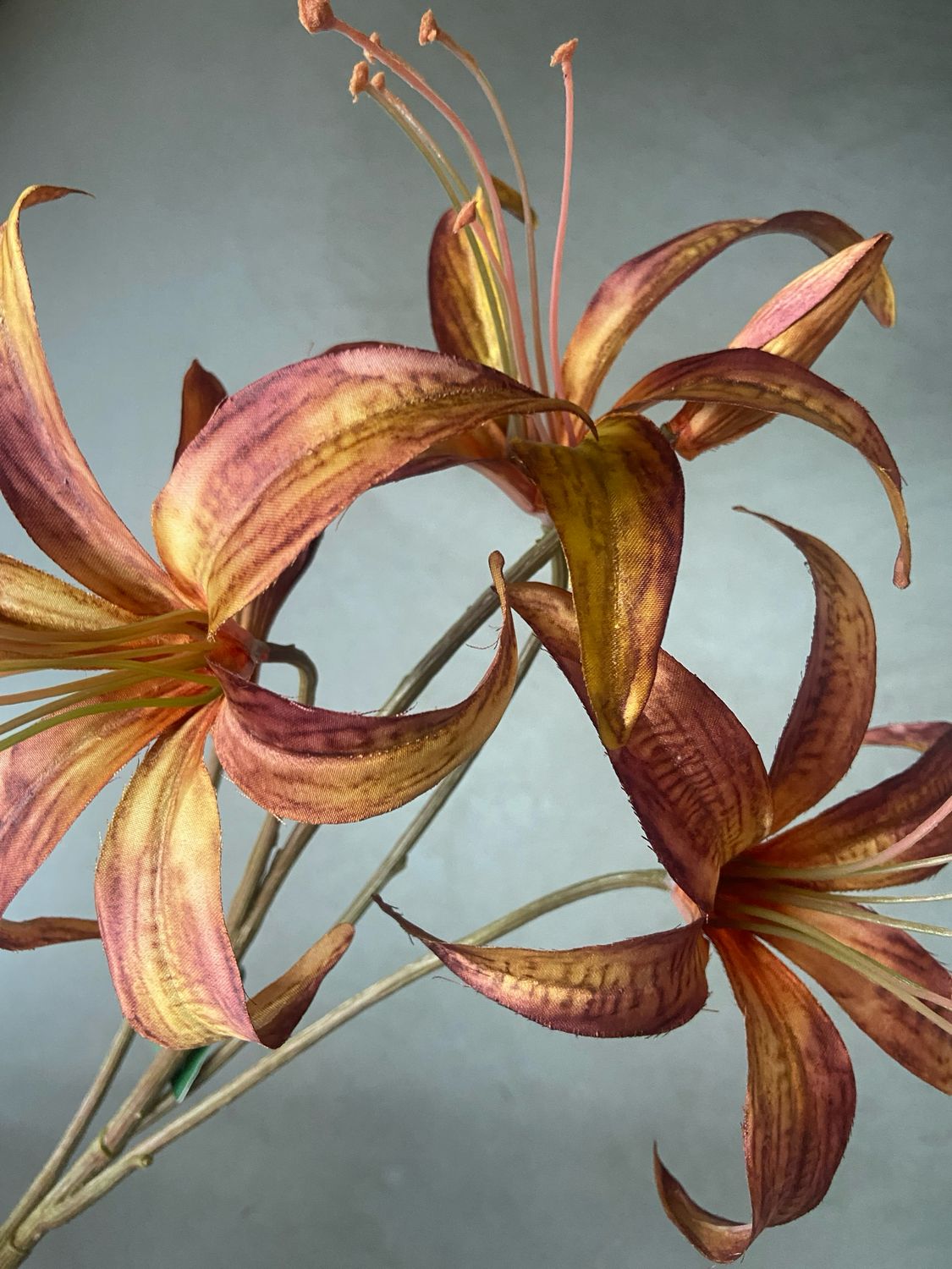 Kunstlelie - Silk-Ka