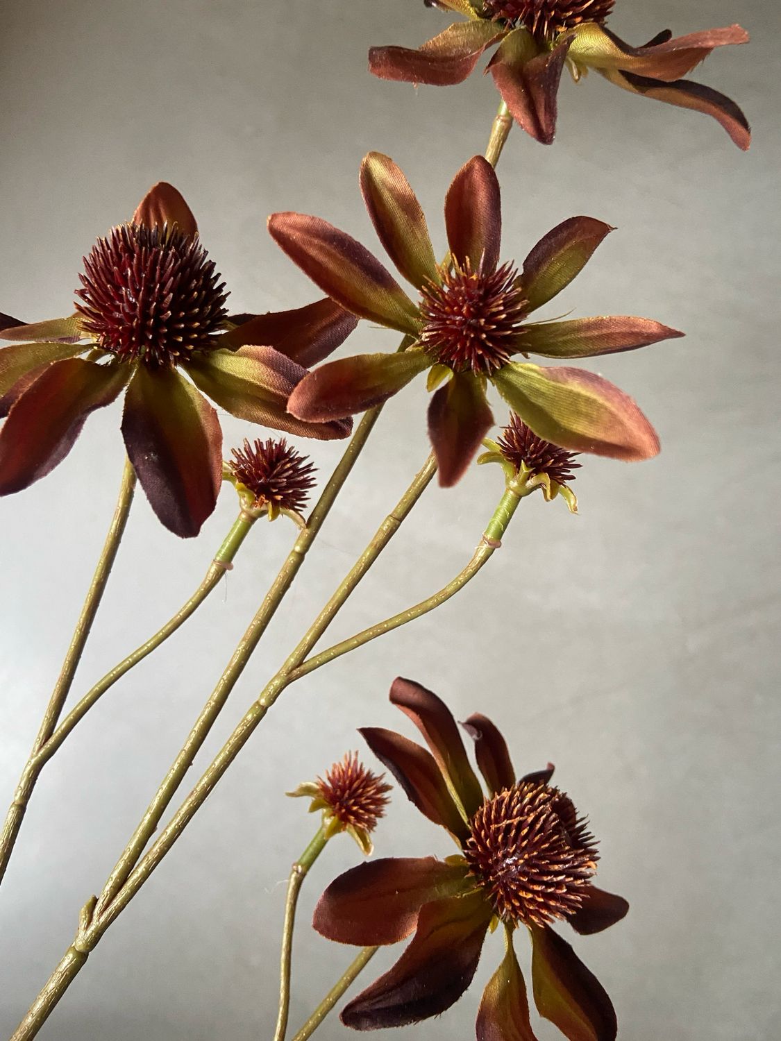 Kunsttak distel silk-ka