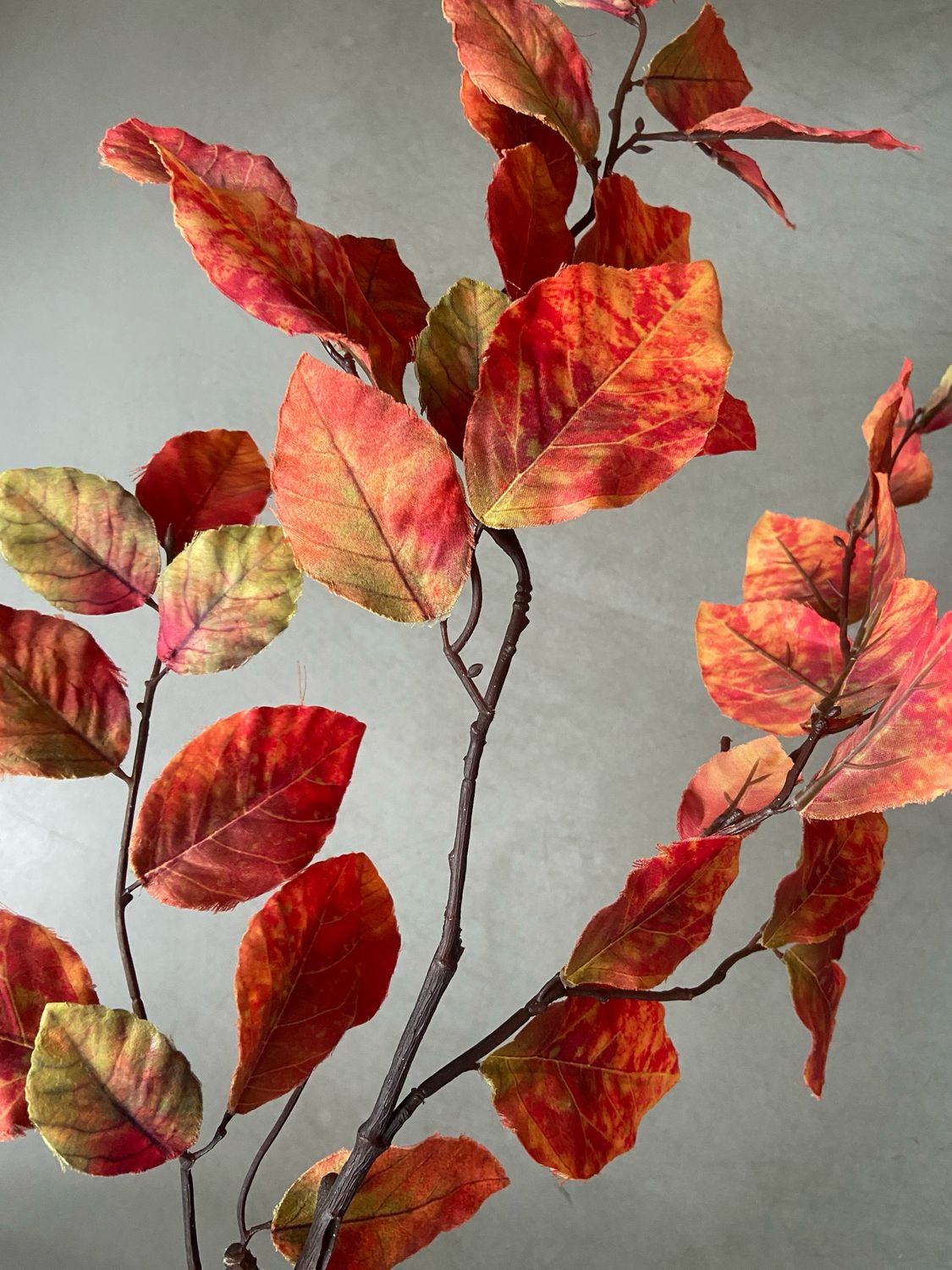 Herfstblad rood-oranje