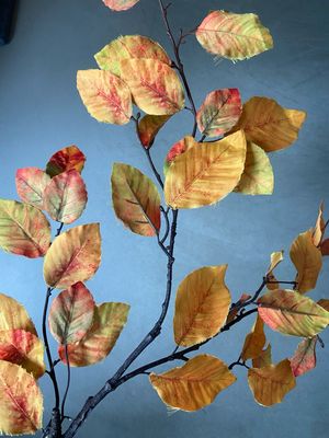 Herfstblad geel-oranje