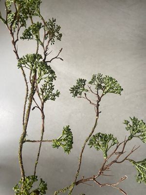 Decotak groen spray