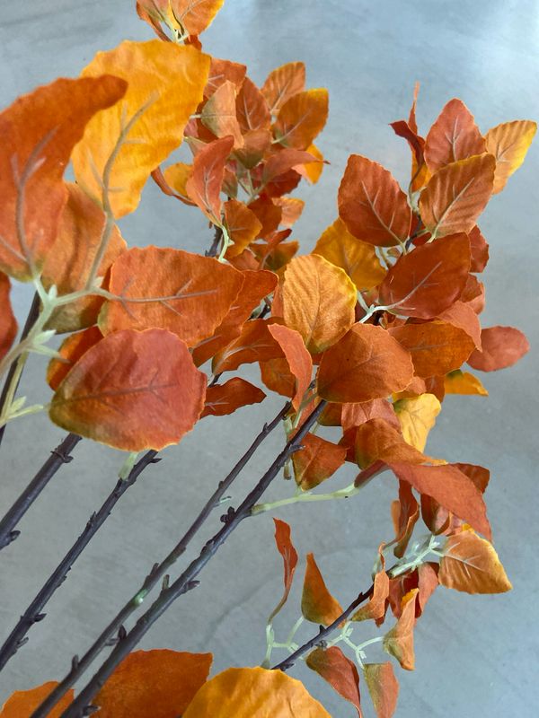 Herfsttak 147 cm