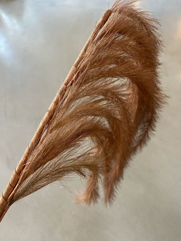 Pluim hang bruin