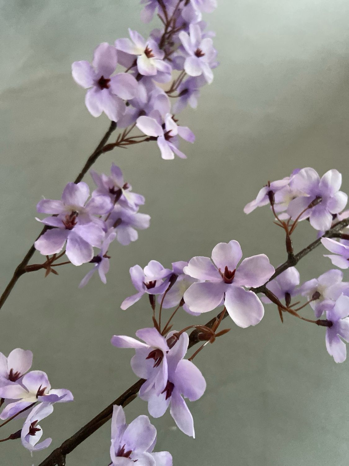 Bloesemtak lila 113 cm