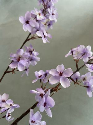 Bloesemtak lila 113 cm