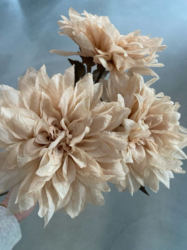 Bloem crème