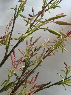 Decotak groen roze