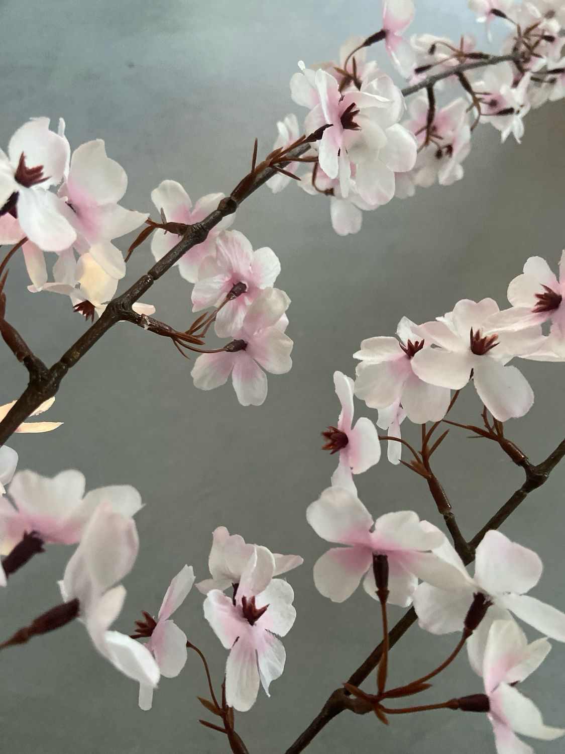 Bloesemtak 113 cm light pink