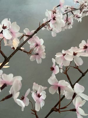 Bloesemtak 113 cm light pink